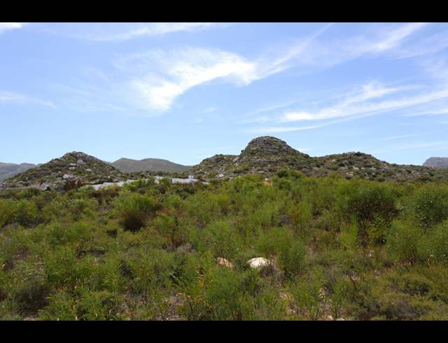 8,000M² SMALLHOLDING FOR SALE IN CROFTERS VALLEY